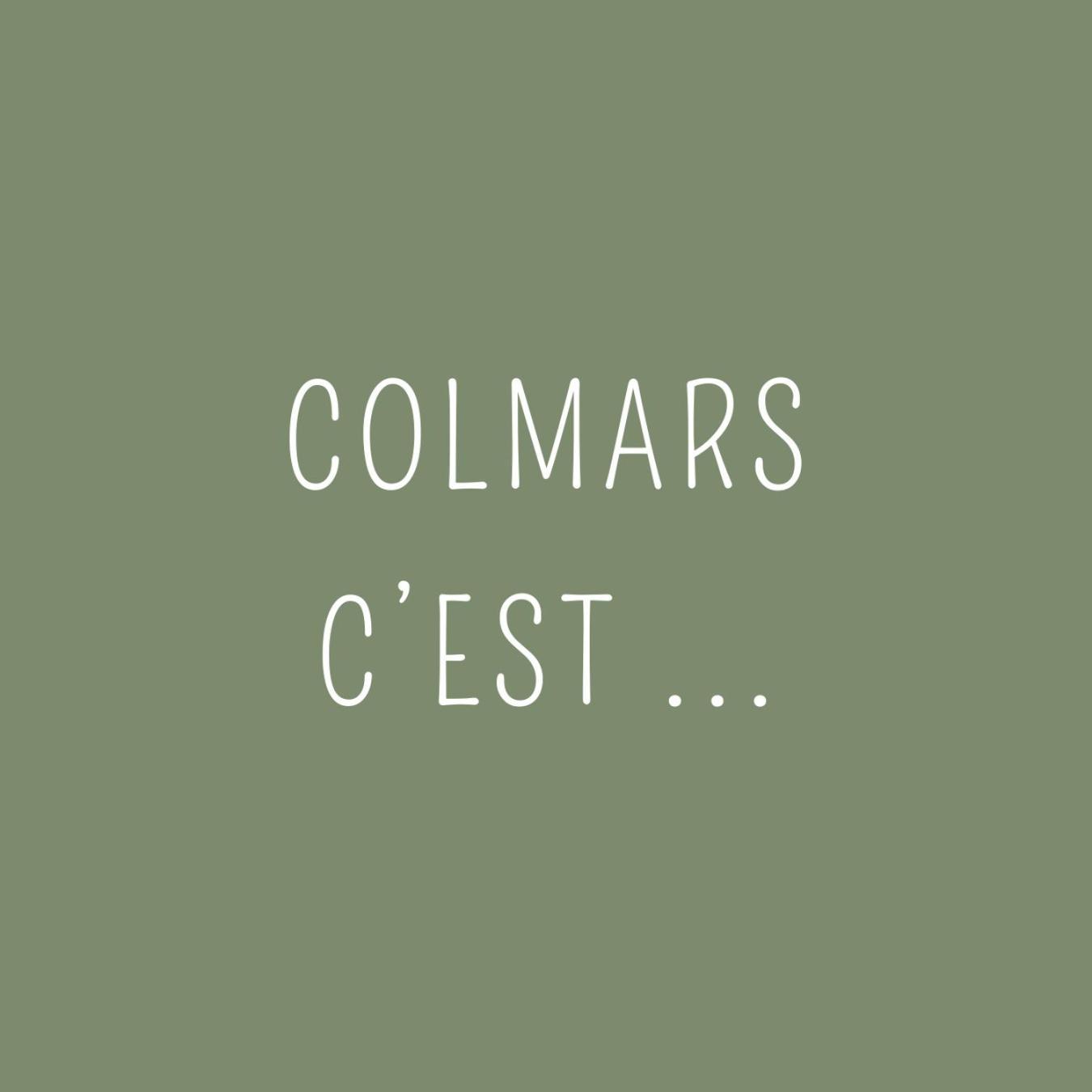 Maison Familiale Des Remparts 콜마르 외부 사진